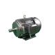 YE3 90L-4-IP55 Low Voltage Three Phase Asynchronous Motor 1.5kW 380V