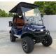 Private Mold Electric Lifted Cart 4 Passenger Chinese Hunting Golf Carts with Rear Disc Brake