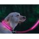 Eco Friendly LED Glow In The Dark Dog Leash Weatherproof Available In 5 Colors