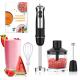 5 In 1 Stainless Steel Stick Blender 800 Watts With Powerful Copper Motor
