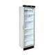 Convenience Stores Retail Display Freezers Large Capacity LED Lighting