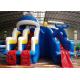 Giant Adults Inflatable Water Slide And Pool with Ladder Commercial Inflatable Blue Sea Waves Whale
