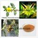 puncturevine weed extract protodioscin China supplier, Cheap wholesale puncture vine extract