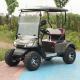 LSV 2 Seater Golf Cart High Performance Lithium Battery Color Option 25-40 Mph For Leisure Resort