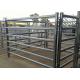 Power Coated Metal Cattle Yard Panels Each Weld Protected With Epoxy Paint