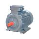 OEM Electric Motor 25hp 18.5kw 1400rpm / 2800rpm Double Speed Motor