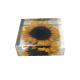 Cubic acrylic resin paper weight with insect and flowers inside acrylic paperweight