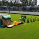 UV Resistant 12600-21000 Density Garden Artificial Grass Turf