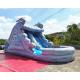 Water Park Plato Commercial Inflatable Slide With Pool