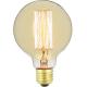 Holiday Hotel 60w Dimmable Edison Lamp  / Decorative Filament Bulbs