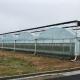 Customizable Temperature-Controlled Greenhouse for Large-Scale Plant Cultivation