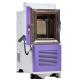 Environmental Temperature Humidity Test Equipment Running 85℃ and 85%RH in Purple Color