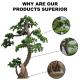 280cm Realistic Artificial Pine Tree Bonsai For Landscape