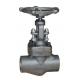 Fully Guided Solid Disc Forged Steel Valve Full And Reduced Bore Port Globe Valve
