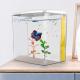 Small Desktop Aquarium Fish Tank With LED Light And Filter Pump