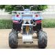 Water Cooled 250cc Utility Vehicles ATV With Electric Start / Manual Clutch