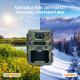 KW571 Factory OEM ODM Mini Wildlife Scouting Timelapse Trail Camera IP67 No-Glow CMOS Sensor and SD Memory night vision