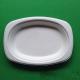 biodegradable eco-friendly tableware sugarcane small oval shaped food tray