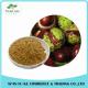 The Manual Harvesting Natural Horse Chestnut Seed Extract Aescin 20%-98%