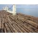 Log Lashing Vessel China Port Service Steel Wire Rope with Thimble and Soft Eye Loop 6x24 FC API 9A 22mm 24mm 26mm