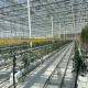 High Light Transmission Glass Greenhouse for Vegetables Return refunds Up to 30 days