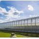 Hydroponics Glass Greenhouse with Shading Screen System Package Gross Weight 80.000kg