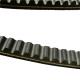 Suitable to HITACHI Excavator 200-5/SAX330  fan belt  17X1175Li  continental belt ramelman toothed v belt