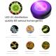 Popular Pocket Car ultraviolet lamps Remote 99.9% Bacteria Killing uv light sterilizer