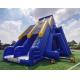 Giant Commercial Inflatable Water Slides Cartoon Theme For Adults