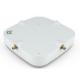 AP305CX WR Extreme Wireless Access Points External Antennas 5GHz 2.4GHz