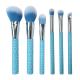 Fashion Design Makeup Brush Special Blue Plastic Handle Vegan Cosmetic Brushes