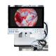 15.6 Inch Full HD All In One Surgical Imaging Endoscopy Camera System With Shoutcut Key Function