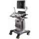 4D Trolly Color Ultrasound Machine Multi Frequency