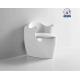 Modern White Matte Black Siphon Flushing Type Bathroom Sanitary Ware