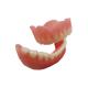 Smooth Surface Rubber OEM Denture Dental Lab Digital Dental Models