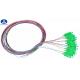 12 Color Code Optical Fiber Pigtail Ribbon 12F SC APC Polishing