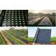 Perforated & Non-Perforated Black/Silver Color Plastic Mulch Film
