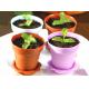 200ml flower pot pudding cups Dome Lid Disposable Dessert Cups