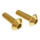 M6 Hex Socket Truss Head Titanium Screw Fastener for Automotive Spare Parts