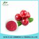 Food Ingredients Fruit Extract 100% Natural Bilberry Extract Powder