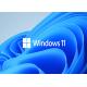 Microsoft Windows 11 License Key Delivery Quick Quality Assurance