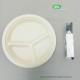 2021 best sell  Eco-friendly Sugarcane 3-Compartments Plate Heavy-duty takeaway plates natural plant fiber prodcut