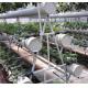 Pollution Free Commercial Hydroponic Greenhouse Saving Water / Fertilizer
