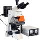 Trinocular Epi Fluorescence Microscope 1600X WF10X 22mm Phase Contrast Microscope