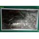 NL13676BC25-03F  NLT  	a-Si TFT-LCD ,15.6 inch, 1366×768  for Industrial  Application