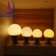 LED Poultry Lighting Chicken Farm Light Bulb Waterproof IP69 Rating