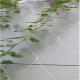 Stainless Steel Wire Rope Mesh Net As Architecture Plant Trellis