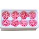 Factory Price Preserved Flowers Real Preserved Carnation For Mother