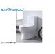 Sanitary Ware One Piece Toilet , Wall Mounted WC  Dual Flush Mechanism