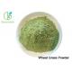 100% Natural Nutrition Supplement Wheat Grass Powder / Wheat Grass Juice Powder